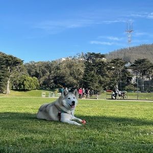 Meet your Posher, Catherine